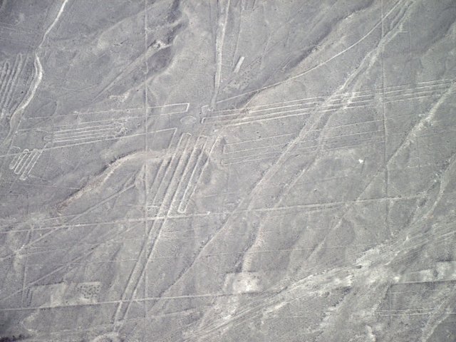 Nazca 033